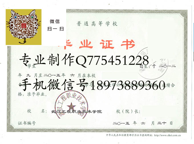 武汉工程职业技术学院2015 拷贝.jpg