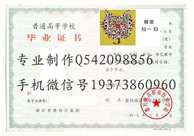 嘉兴南洋职业技术学院2015 拷贝.jpg