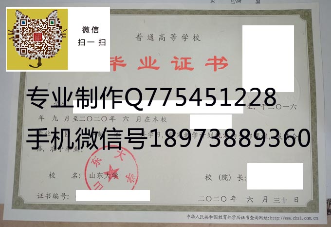 山东大学2020实物 拷贝.jpg
