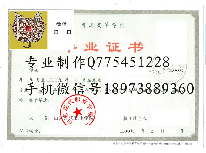 山东现代职业学院2009 拷贝.jpg