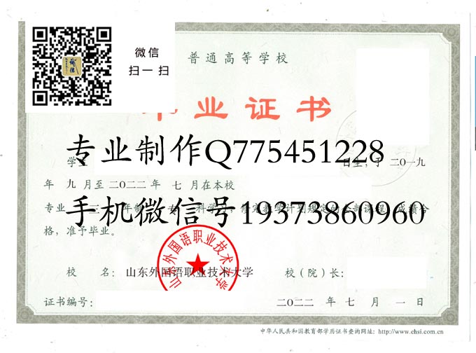 山东外国语职业技术大学2022 拷贝.jpg