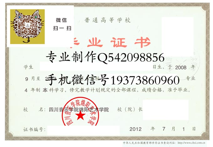 四川音乐学院绵阳艺术学院2012电子 拷贝.jpg
