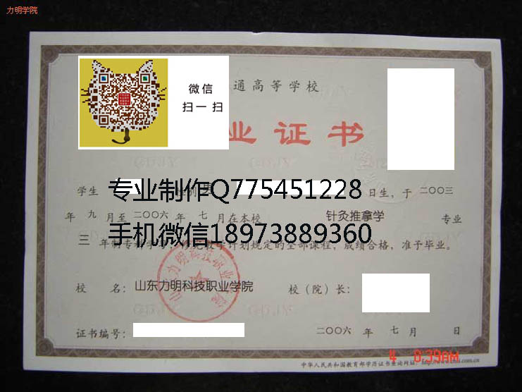 山东力明科技职业学院毕业证样本
