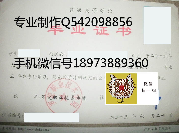 罗定职业技术学院13年毕业证样本