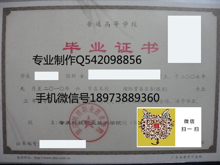 肇庆科技职业技术学院2010年毕业证样本