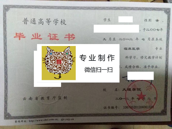 大理学院毕业证样本