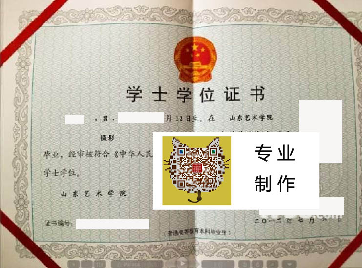 山东艺术学院毕业证样本