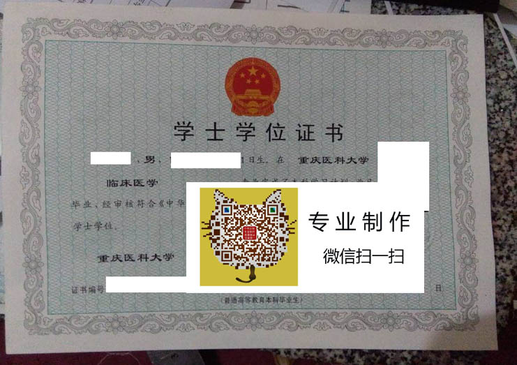 重庆医科大学09学士学位证样本
