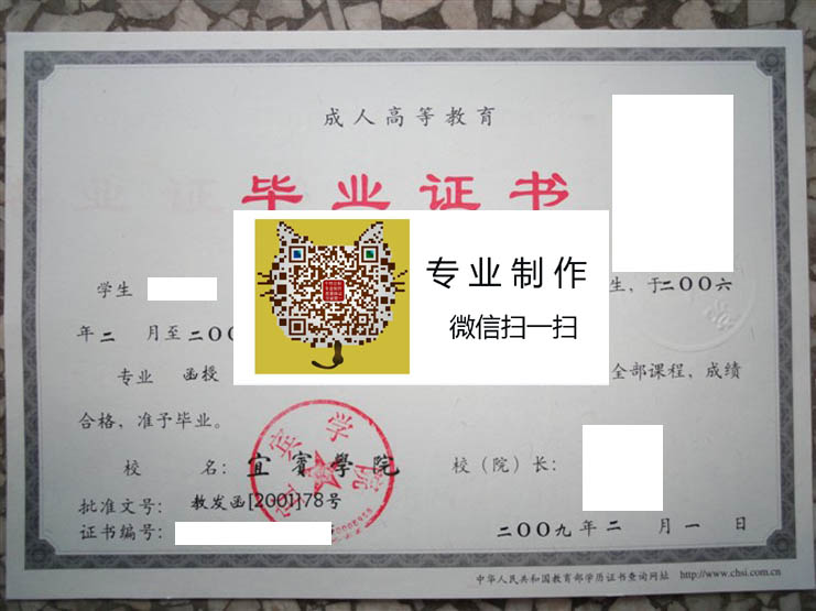 宜宾学院毕业证样本