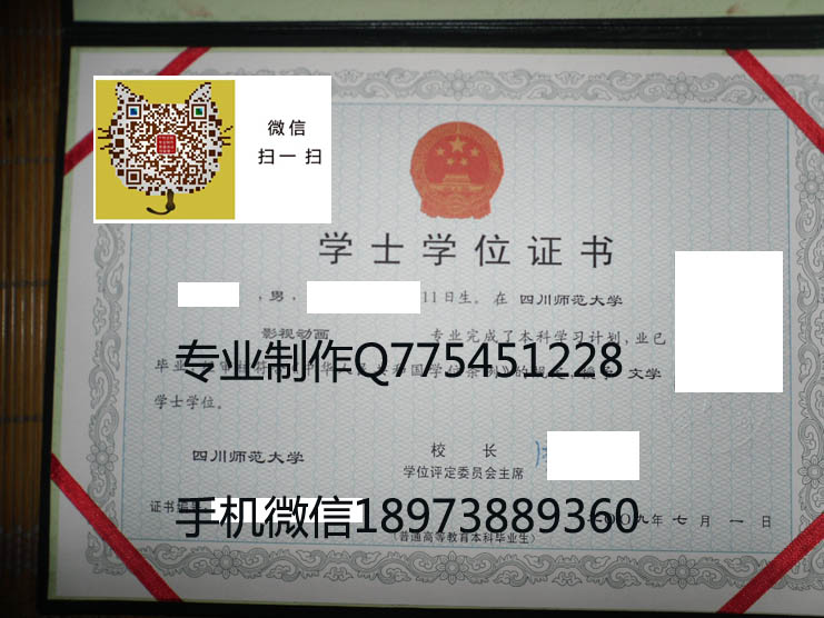 2009年四川师范大学学位证样本