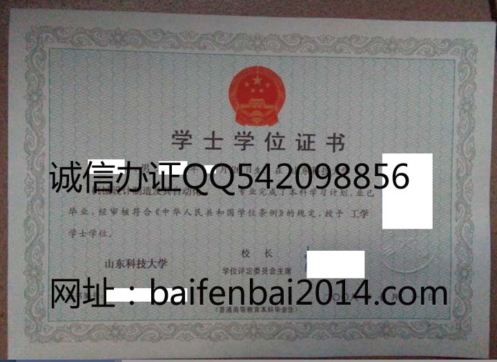 山东科技大学2008年学位证样本