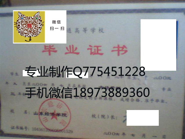 山东经济学院毕业证样本