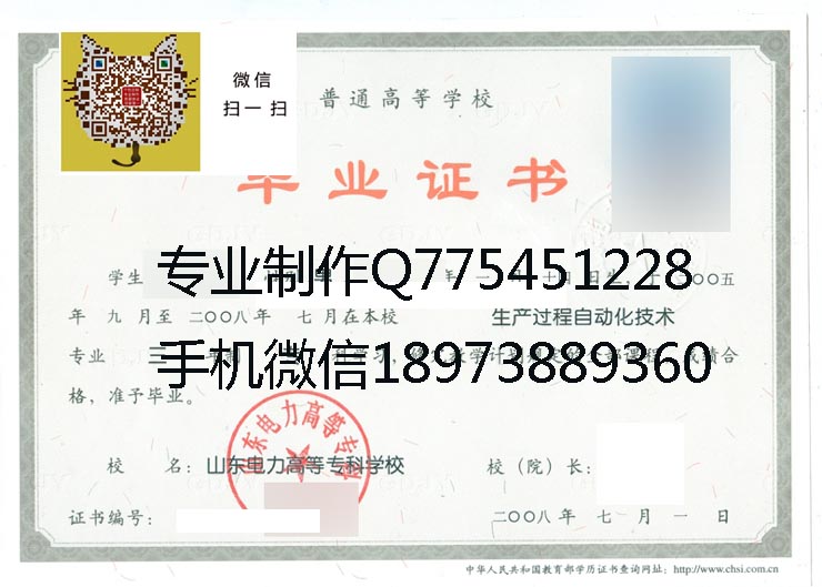 山东电力高等专科学校毕业证样本