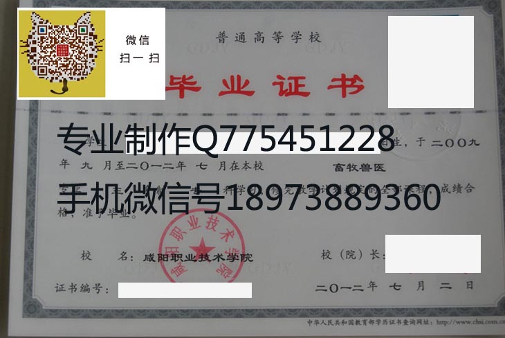 咸阳职业技术学院毕业证样本