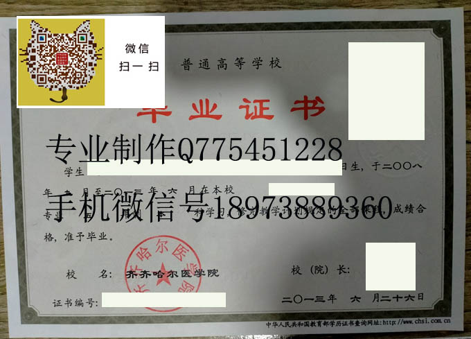 齐齐哈尔医学院2013年毕业证样本