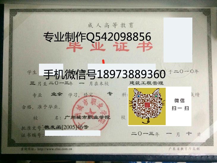 广州城市职业学院2013年毕业证样本