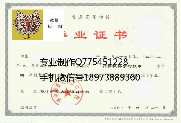 华中师范大学汉口分校2008 拷贝
