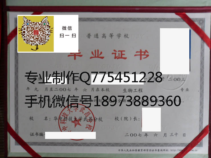 华中科技大学武昌分校 拷贝