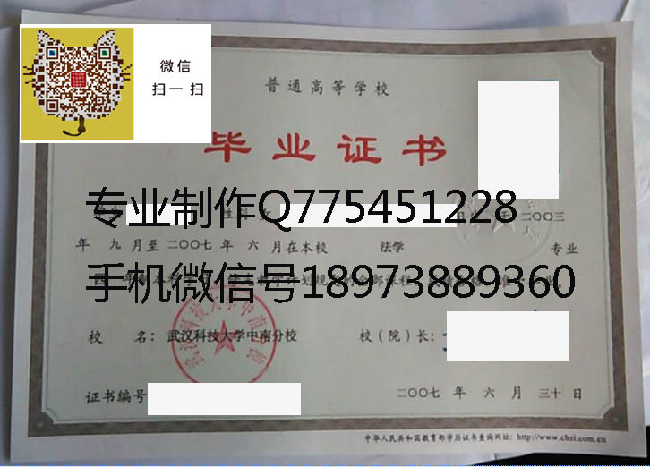 武汉科技大学中南分校2007 拷贝