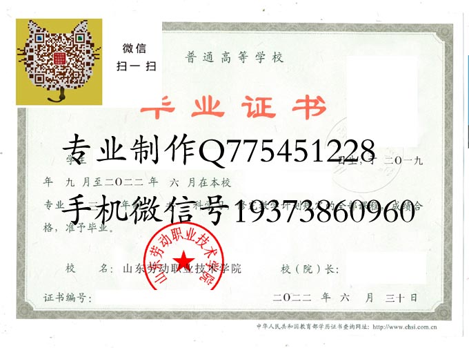 山东劳动职业技术学院2022 拷贝