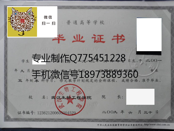 武汉生物工程学院 拷贝