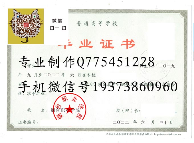 烟台职业学院2022 拷贝