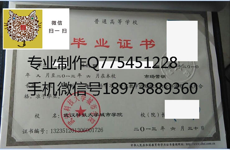 武汉科技大学城市学院2013 拷贝