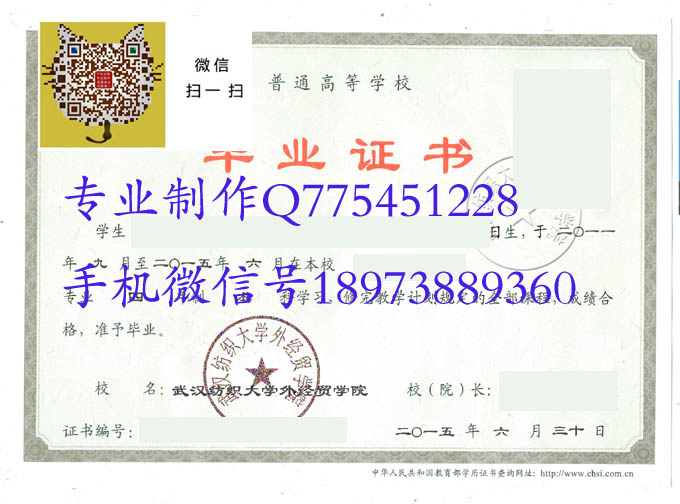 武汉纺织大学外经贸学院2015 拷贝