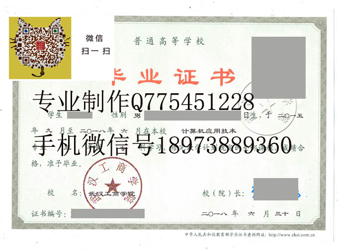 武汉工商学院2018 拷贝