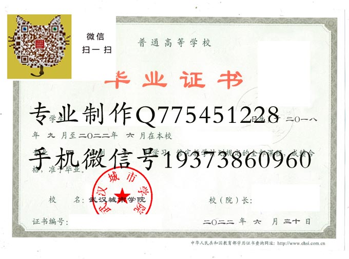 武汉城市学院2022 拷贝