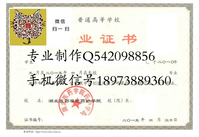 湖北医药学院护理学院2015实物 拷贝