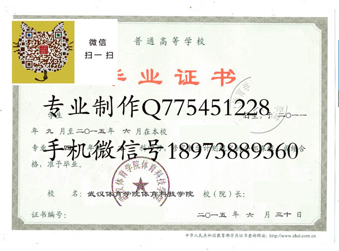 武汉体育学院体育科技学院2015 拷贝