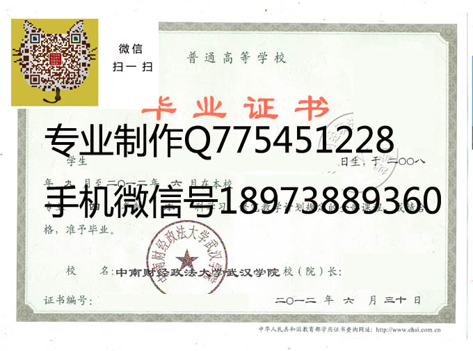 中南财经政法大学武汉学院2012 拷贝