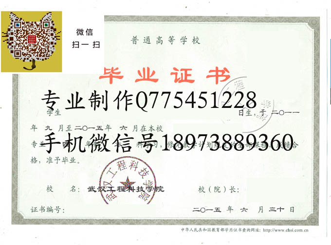 武汉工程科技学院2015 拷贝