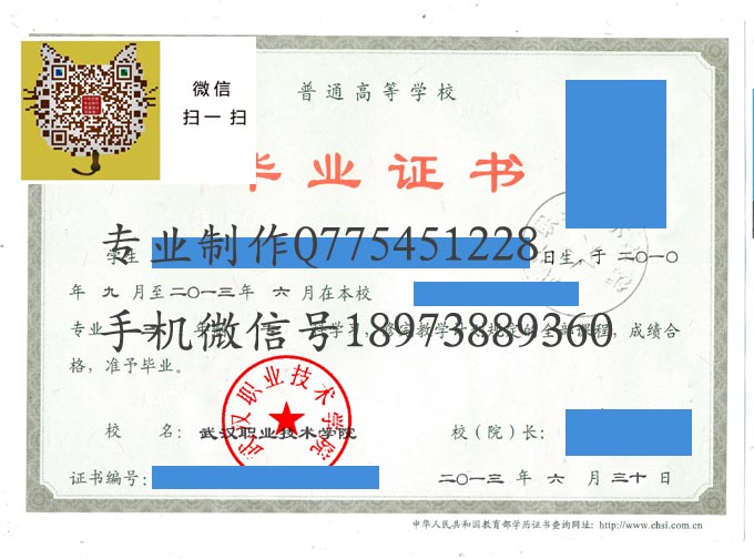 武汉职业技术学院2013 拷贝