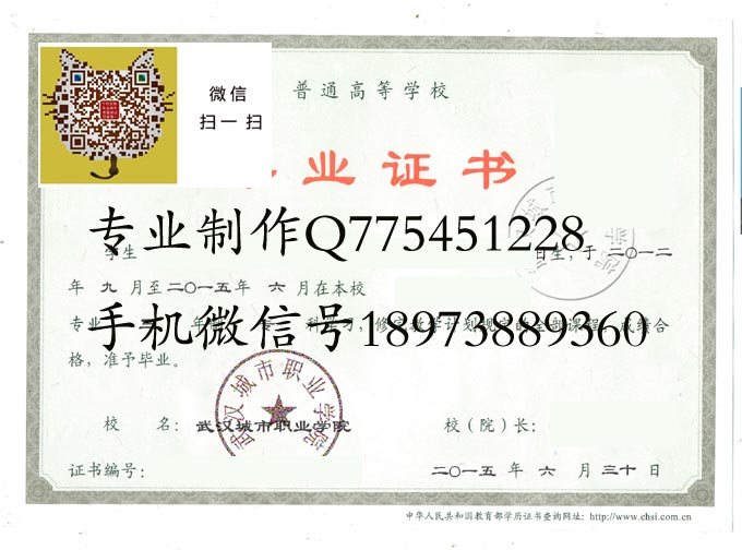 武汉城市职业学院2015 拷贝