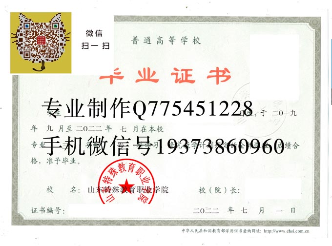 山东特殊教育职业学院2022 拷贝