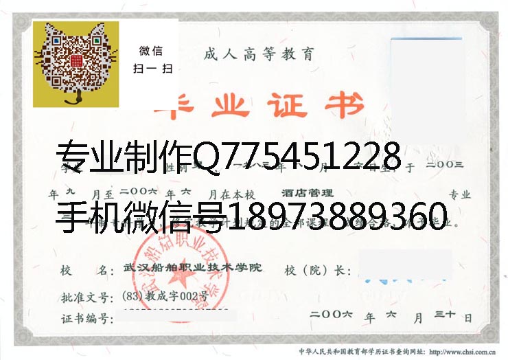 武汉船舶职业技术学院2006成人 拷贝