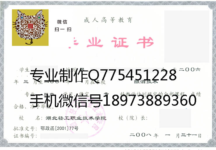 湖北轻工职业技术学院 拷贝
