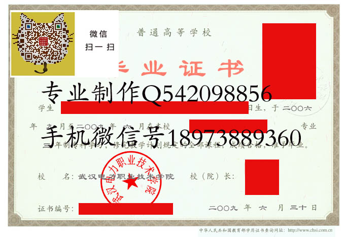 武汉电力职业技术学院2009 拷贝