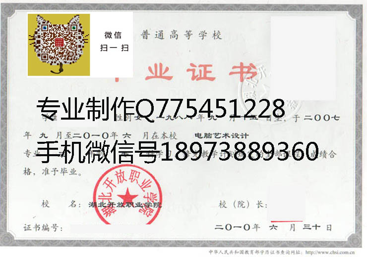 湖北开放职业学院2010 拷贝