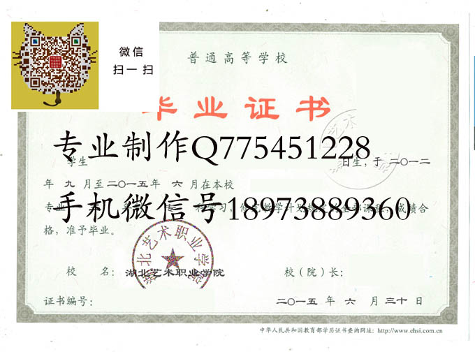 湖北艺术职业学院2015 拷贝