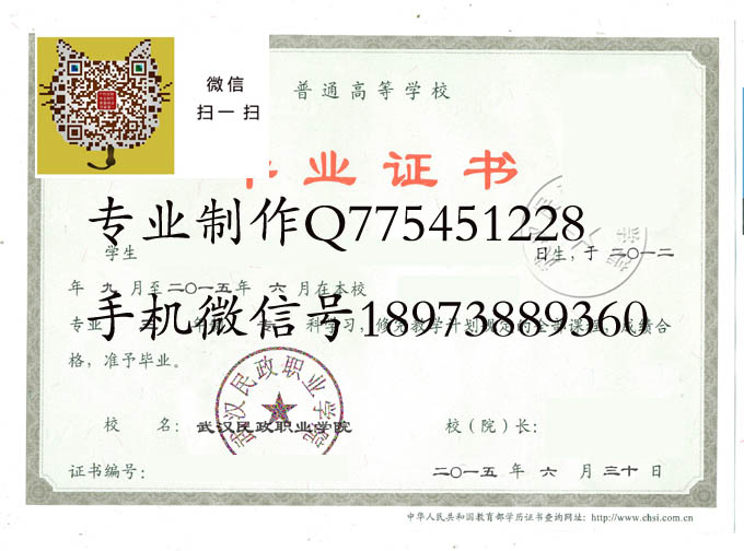 武汉民政职业学院2015 拷贝