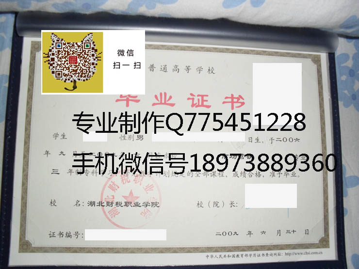 湖北财税职业学院 拷贝