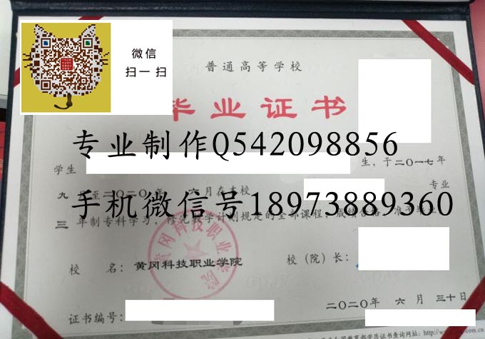 黄冈科技职业学院2020 拷贝