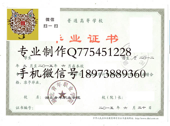 湖北青年职业学院2015 拷贝