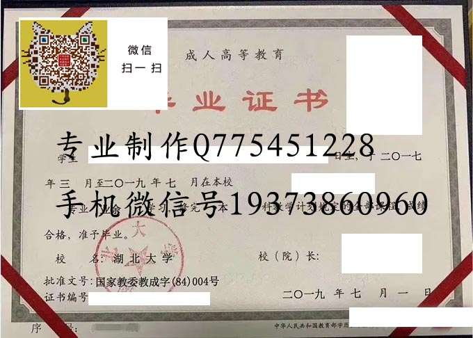 湖北大学2019成人 拷贝