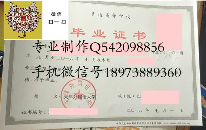 天津外国语大学2018 拷贝