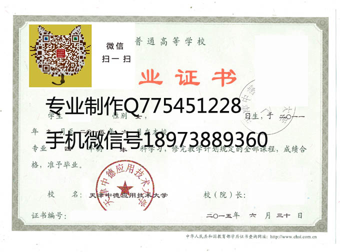 天津中德应用技术大学2015 拷贝