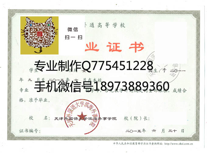 天津外国语大学滨海外事学院2015 拷贝